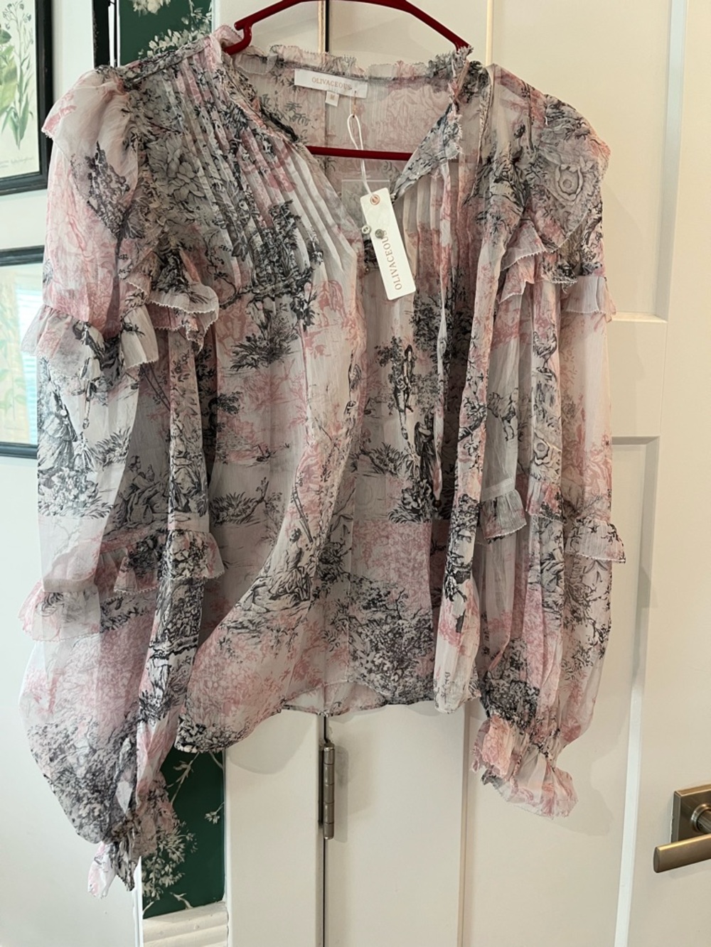 NWT Olivaceous Pink & Black Sheer Ruffle Blouse